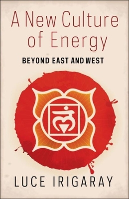 Book cover for A New Culture of Energy