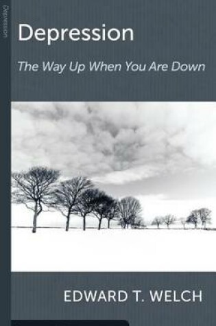 Cover of Depression the Way up the Way down