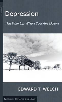 Book cover for Depression the Way up the Way down