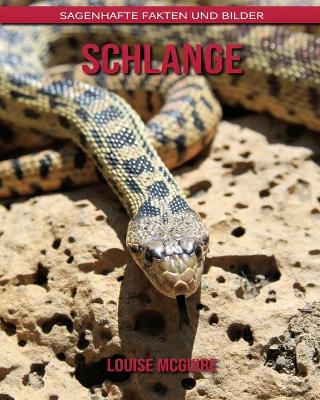 Book cover for Schlange