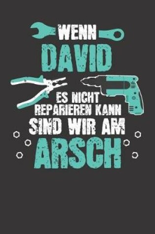 Cover of Wenn DAVID es nicht reparieren kann