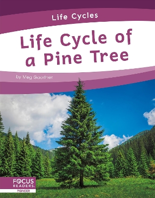 Book cover for Life Cycle of a Pine Tree