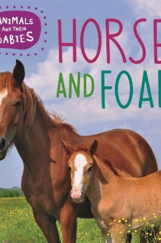 Cover of Animals and their Babies: Horses & foals