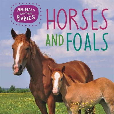 Cover of Animals and their Babies: Horses & foals