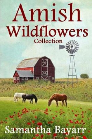 Cover of Amish Wildflowers