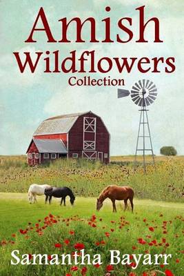 Book cover for Amish Wildflowers