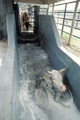 Cover of Farm Journal Cattle Bath