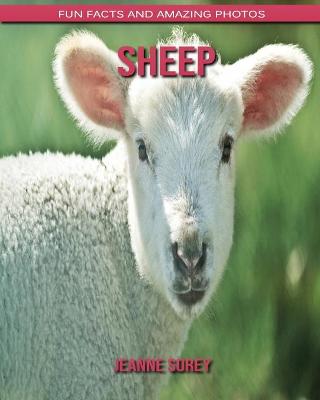 Book cover for Sheep