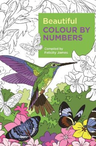 Cover of Beautiful Colour by Numbers