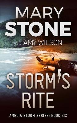 Book cover for Storm's Rite