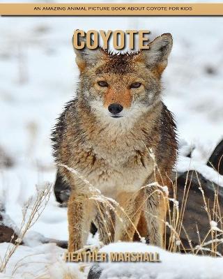 Book cover for Coyote