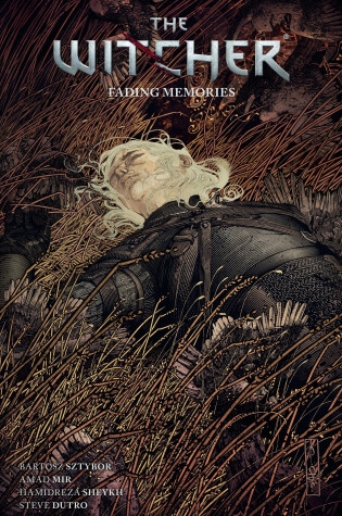 Cover of The Witcher Volume 5: Fading Memories