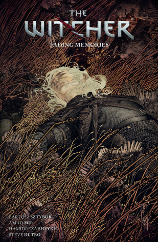 Book cover for The Witcher Volume 5: Fading Memories