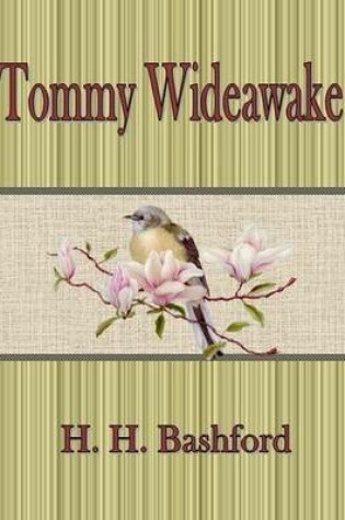 Cover of Tommy Wideawake.