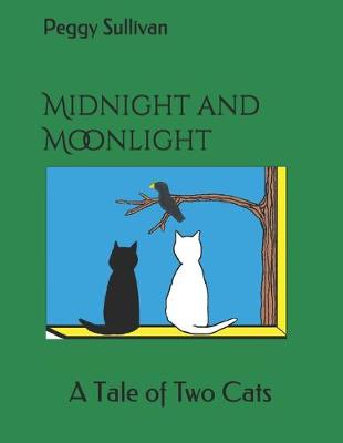 Book cover for Midnight and Moonlight