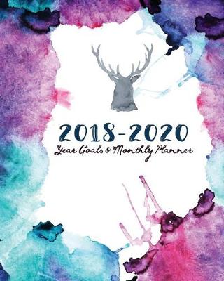 Book cover for 2018-2020 Year Goals and Monthly Planner