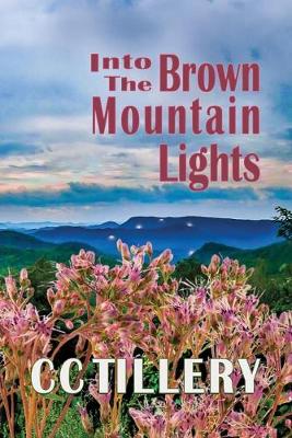 Book cover for Into the Brown Mountain Lights