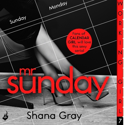 Book cover for Mr Sunday (A sexy serial, perfect for fans of Calendar Girl)