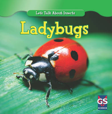 Book cover for Incredible Ladybugs