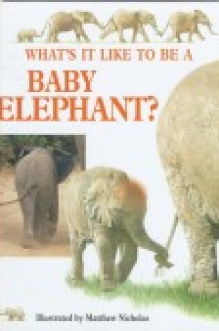 Cover of Whats It Like a Baby Elephant