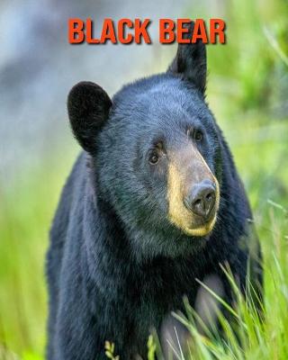 Book cover for Black Bear