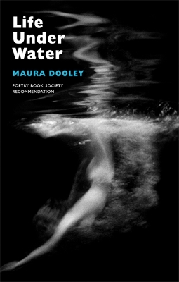 Book cover for Life Under Water