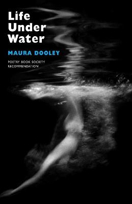 Book cover for Life Under Water