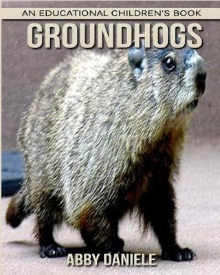 Book cover for Groundhogs! An Educational Children's Book about Groundhogs with Fun Facts & Photos