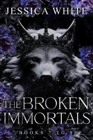 Cover of The Broken Immortals: Books 7-9