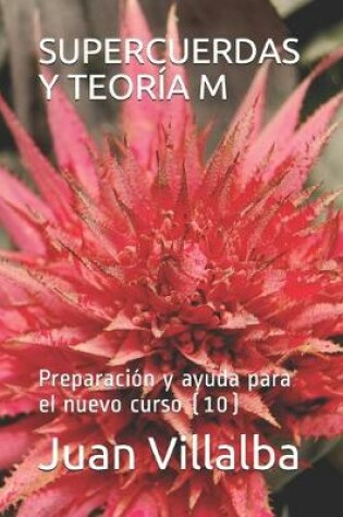 Cover of Supercuerdas Y Teoría M