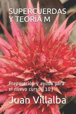 Cover of Supercuerdas Y Teoría M