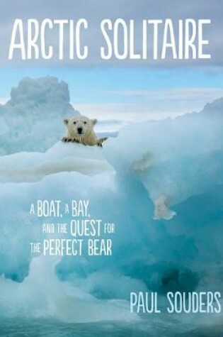 Cover of Arctic Solitaire