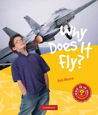 Book cover for Why Does it Fly?