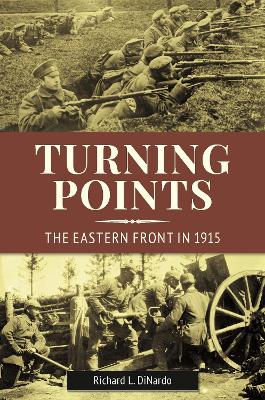 Book cover for Turning Points: The Eastern Front in 1915