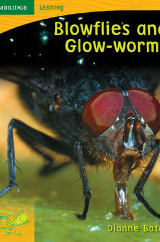 Cover of Pobblebonk Reading 4.4 Blowflies and Glow Worms