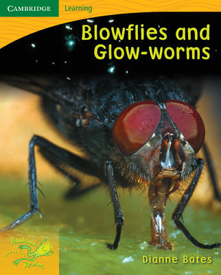 Book cover for Pobblebonk Reading 4.4 Blowflies and Glow Worms
