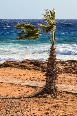 Book cover for Windy Day on the Beach Journal