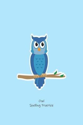 Book cover for Owl Spelling Practice