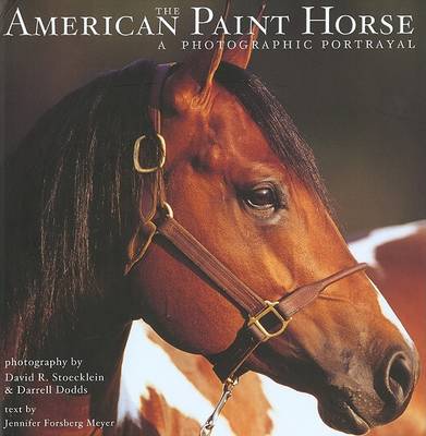 Book cover for The American Paint Horse