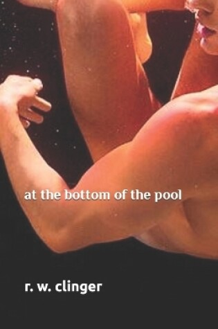 Cover of At the Bottom of the Pool
