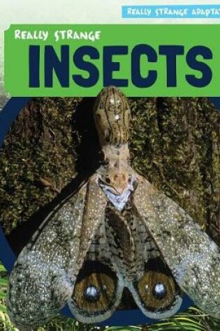 Cover of Really Strange Insects