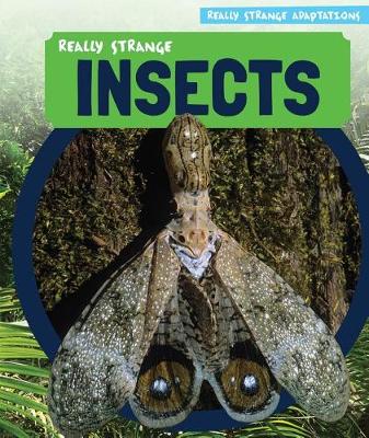 Book cover for Really Strange Insects