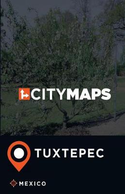 Book cover for City Maps Tuxtepec Mexico