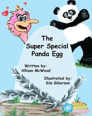 Book cover for The Super Special Panda Egg