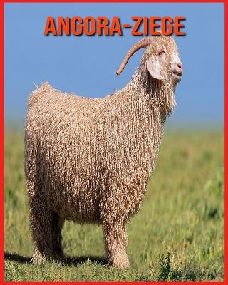 Book cover for Angora-Ziege