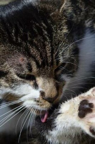 Cover of Kitty Cat Licking Her Paw Journal