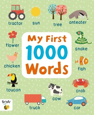 Book cover for My First 1000 Words