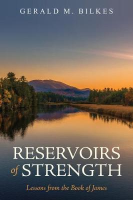Book cover for Reservoirs Of Strength