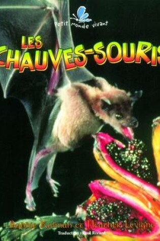 Cover of Chauves-Souris