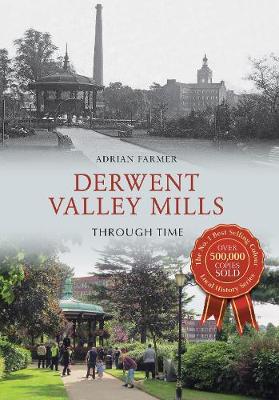 Book cover for Derwent Valley Mills Through Time